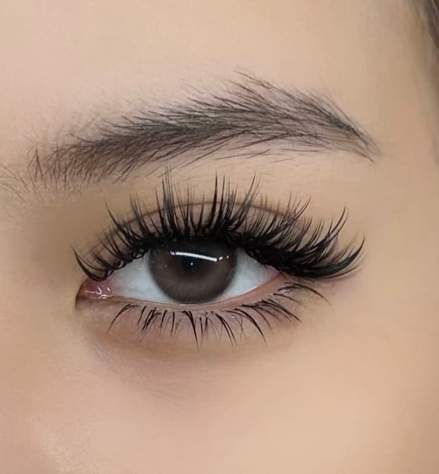 Brown Lash Design